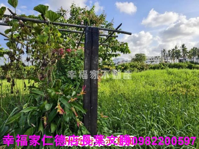 台南歸仁農地-14