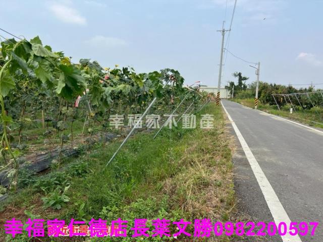 台南柳營農地-5