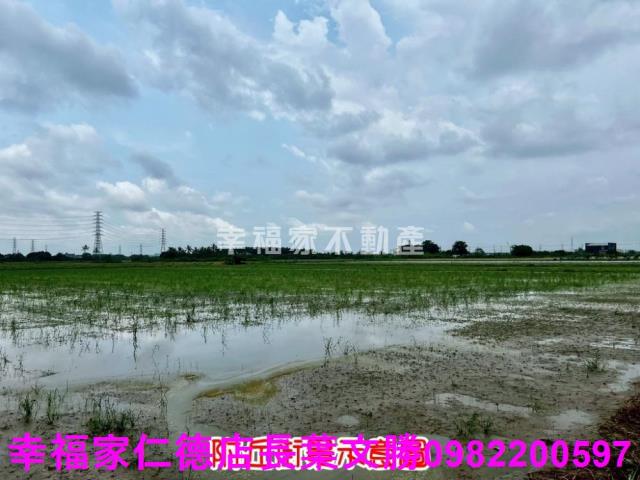新市農地-10
