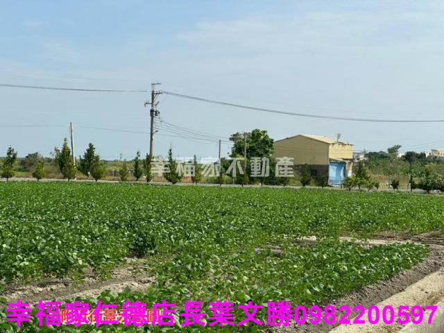 台南後壁農地-10