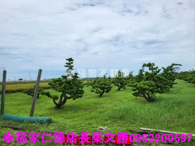 將軍農地-9