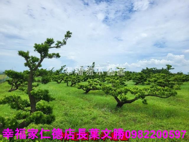 將軍農地-3