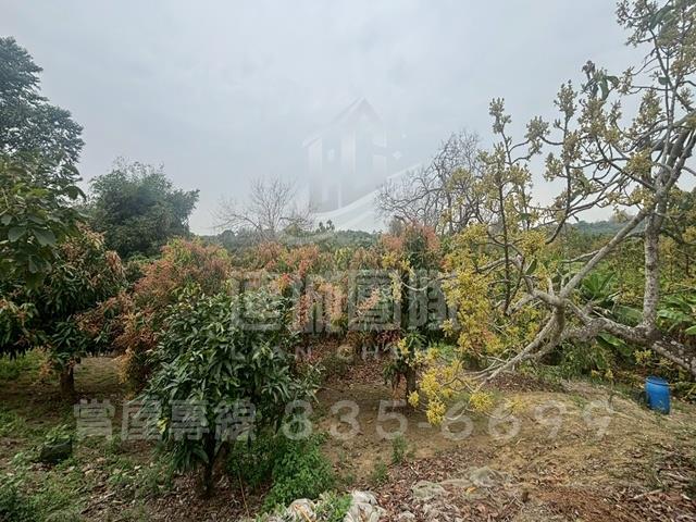 台南農地-3