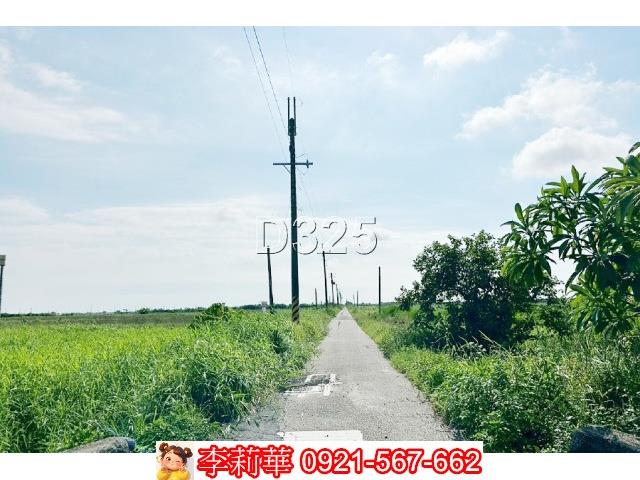 台南農地-2