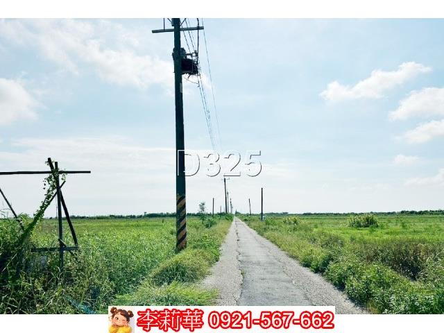 台南農地-3