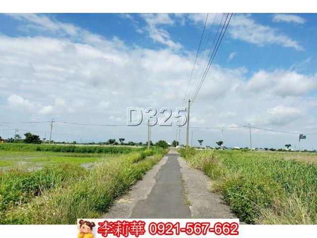 台南農地-4