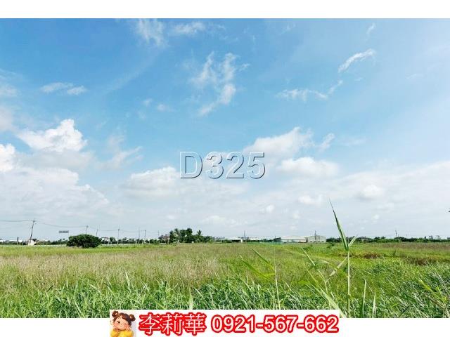台南農地-5
