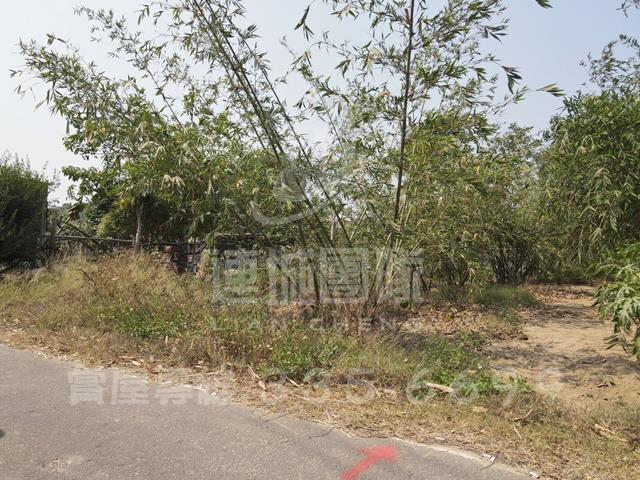 台南農地-2