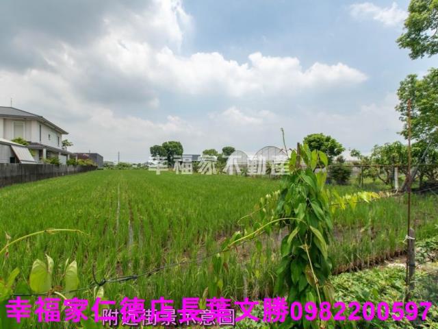 台南歸仁農地-0