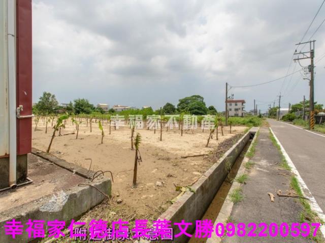 台南歸仁農地-4