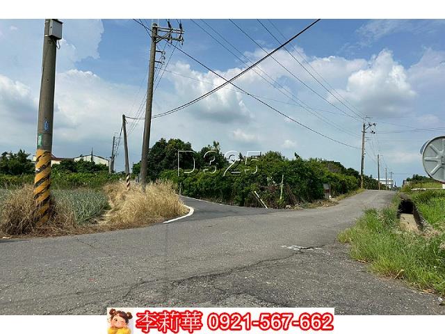 台南農地-1