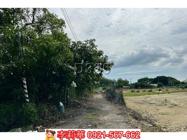 台南農地-4