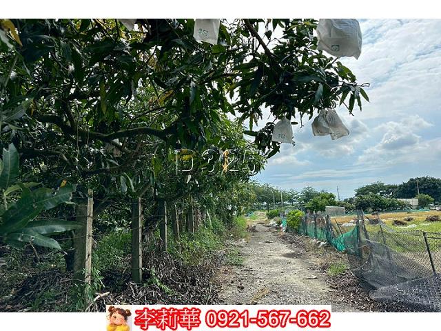 台南農地-5