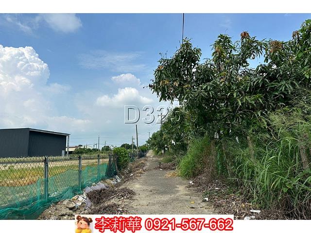 台南農地-6