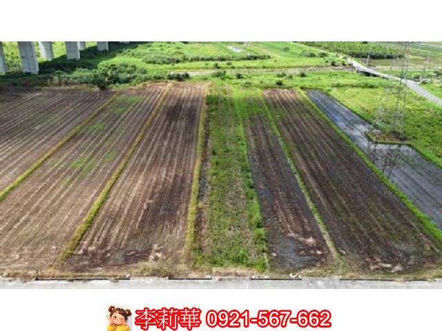 台南農地-3