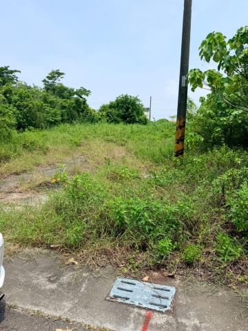 台南七股建地-4