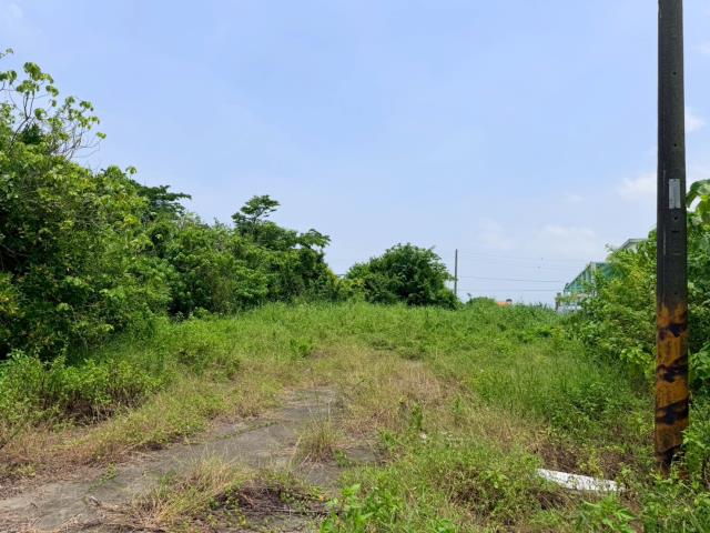 台南七股建地-5