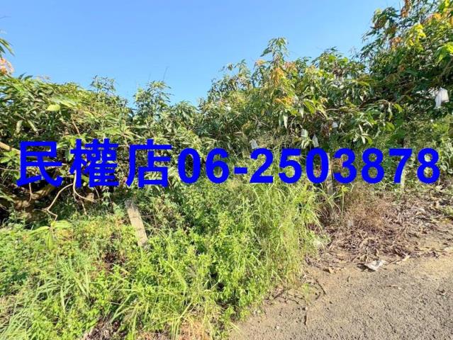 新化農地-4