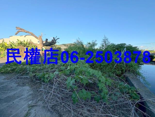 西港農地-9