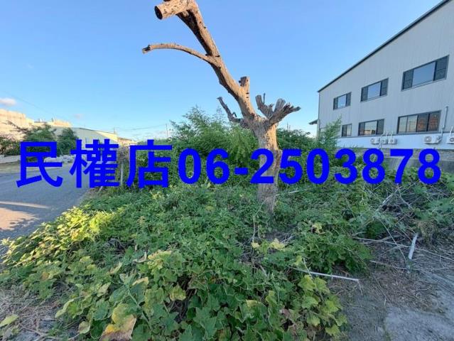 西港農地-7