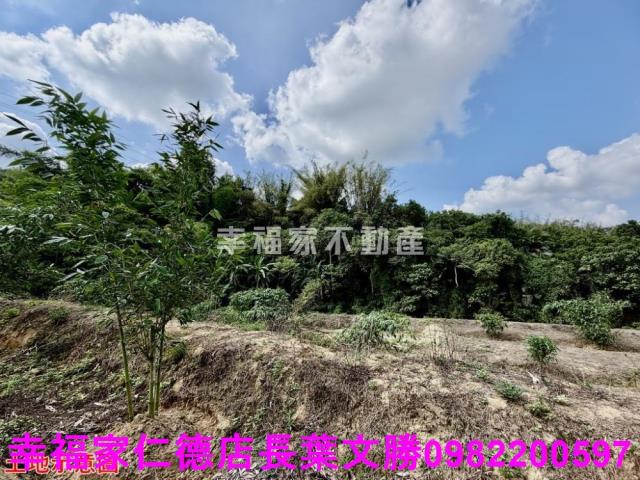 台南關廟農地-10