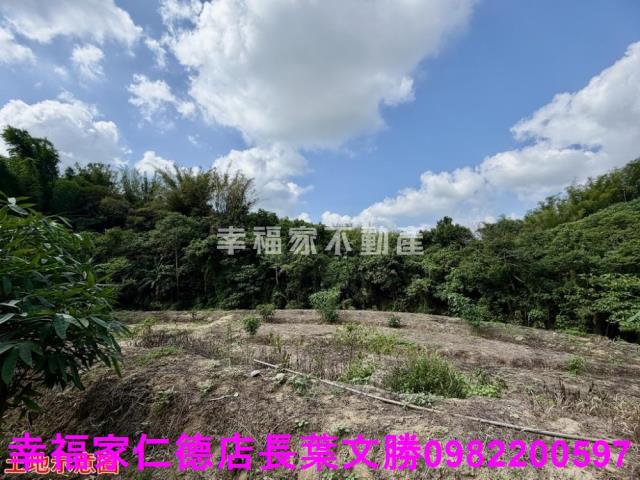 台南關廟農地-14