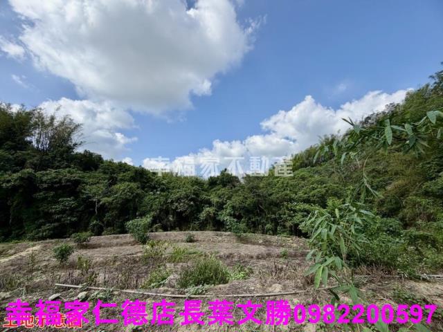 台南關廟農地-0