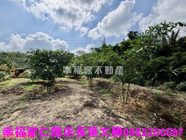 台南關廟農地-1