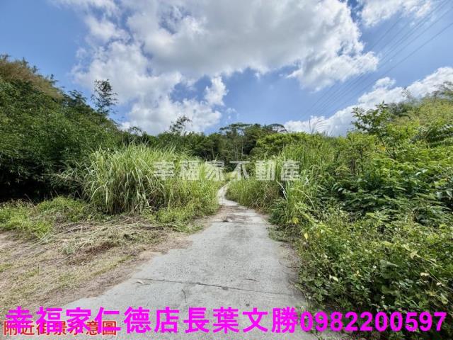 台南關廟農地-2