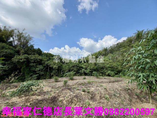 台南關廟農地-3