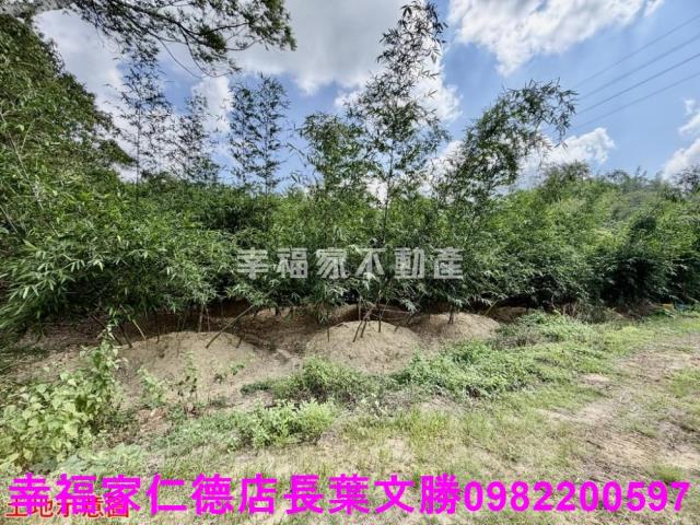 台南關廟農地-4