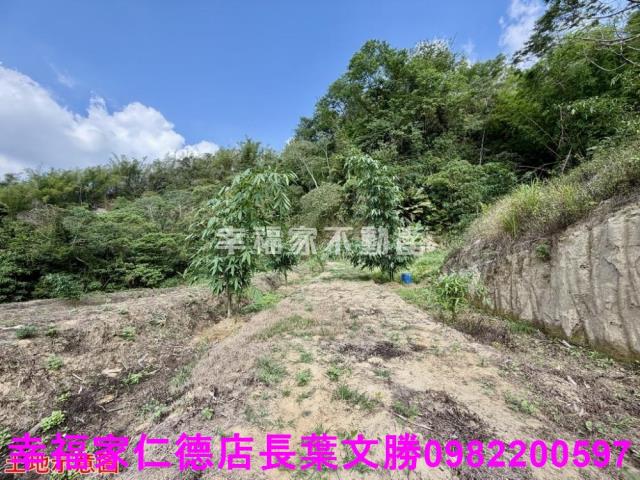 台南關廟農地-7