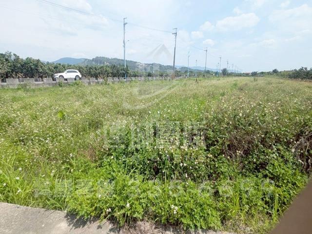 台南玉井農地-1