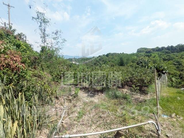 台南玉井建地-1