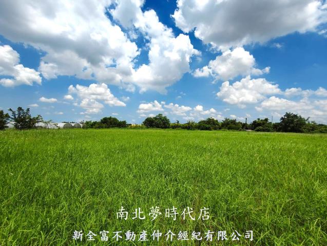 六甲農地-8