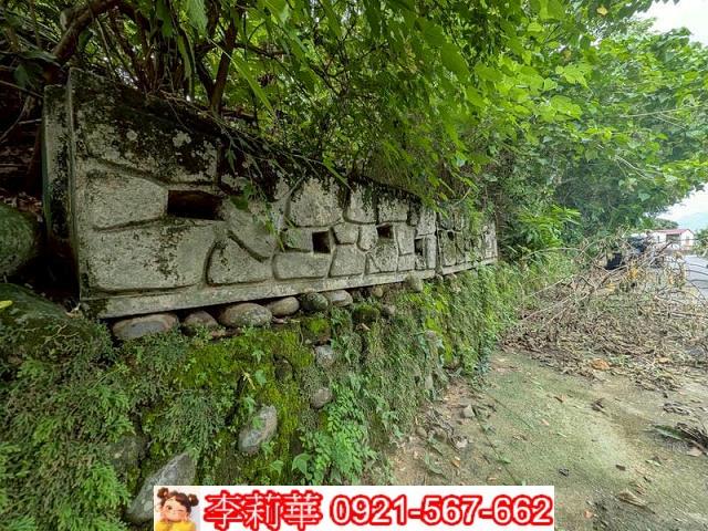 玉井農地-9