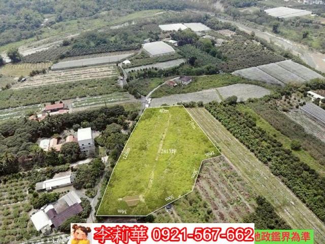 玉井農地-11
