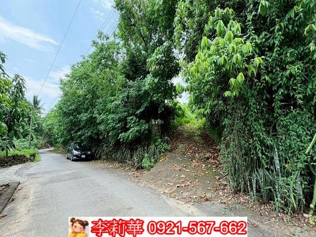 玉井農地-2