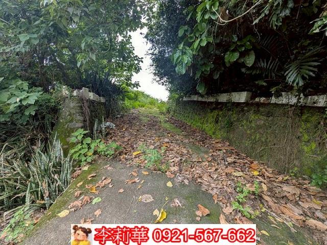 玉井農地-5