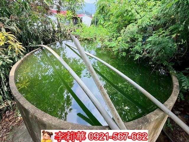 玉井農地-7