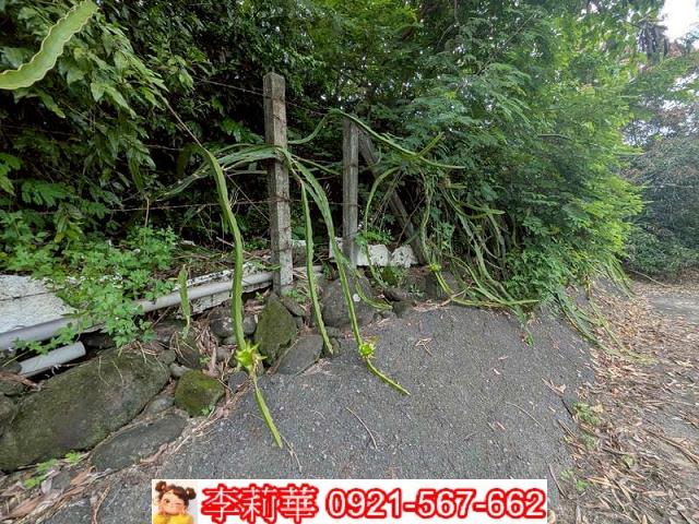 玉井農地-8