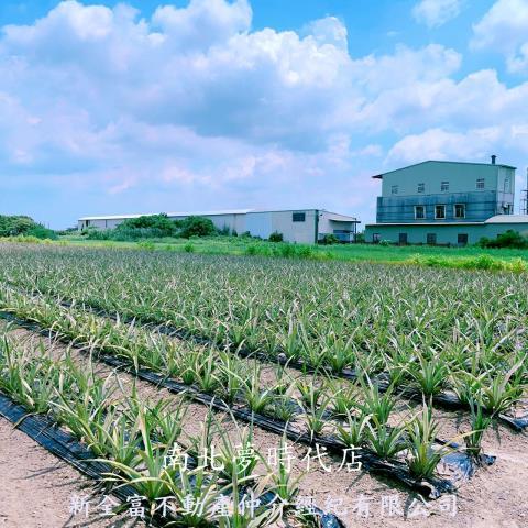 山上農地-9
