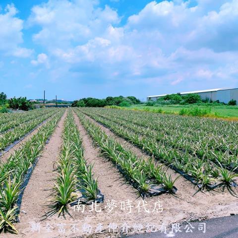 山上農地-8