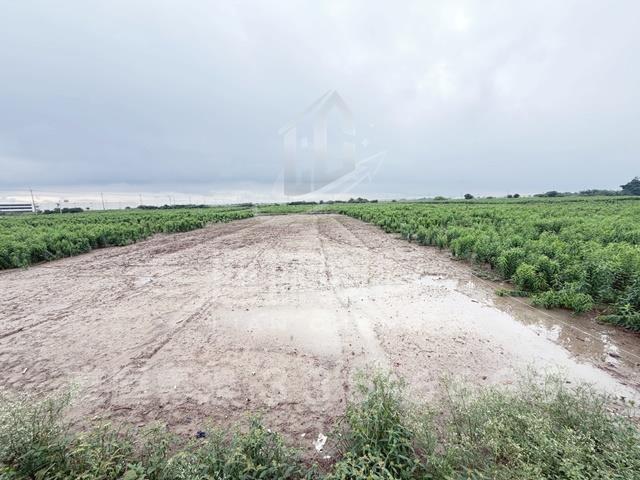 台南農地-0