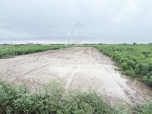 台南農地-1