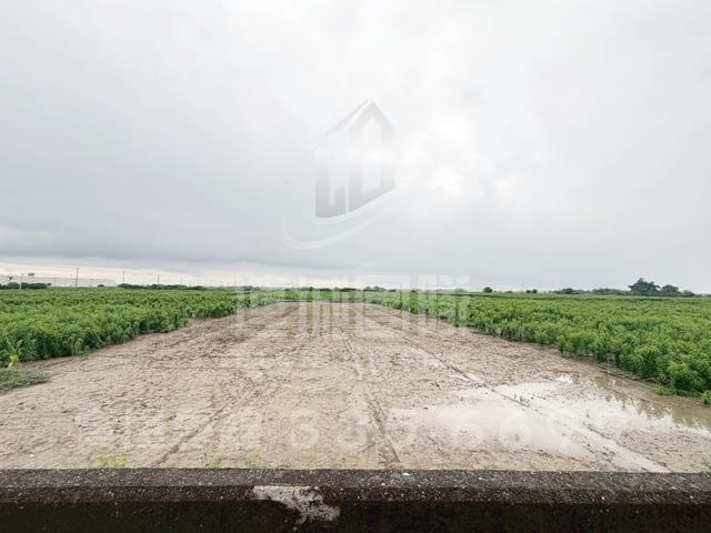 台南農地-2