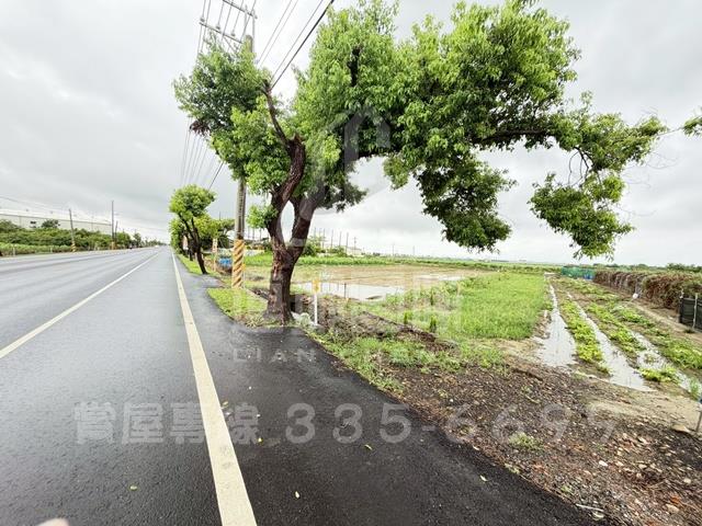 台南農地-7