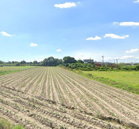 台南新化農地-0