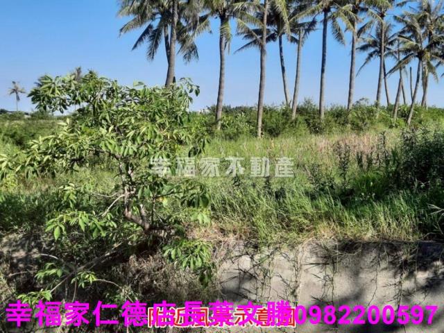 台南農地-11