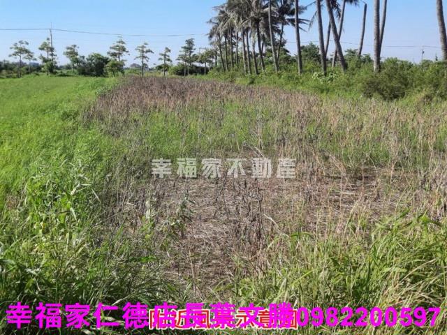 台南農地-14
